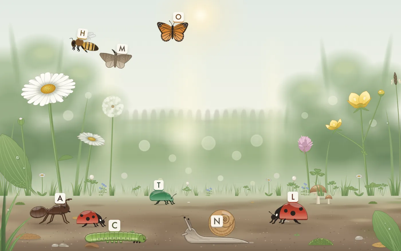 The Bugs world: a ladybug, ant and caterpillar in the grass, with daisies and butterflies